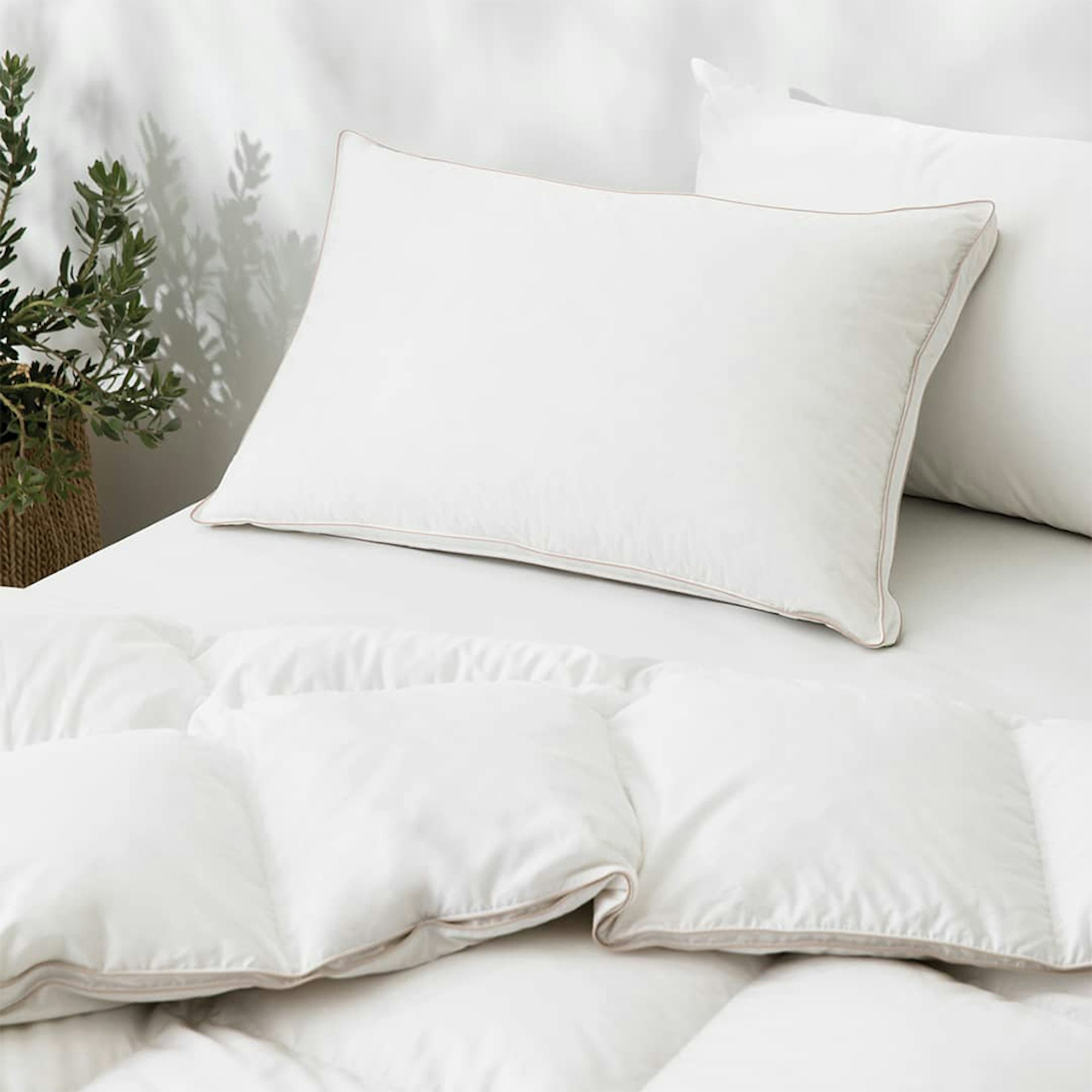 Sheridan Pure Indulgence 85% White Goose Down Pillow