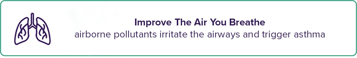 Air Quality Infographic Banner