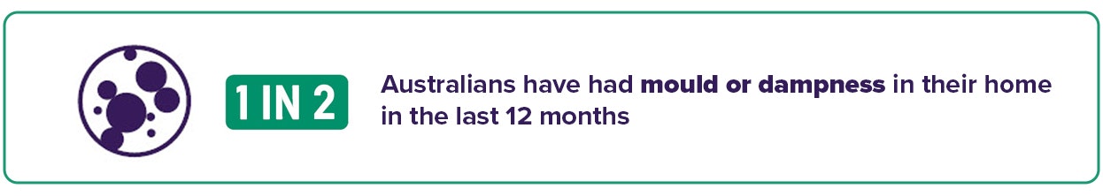 Mould Infographic Banner