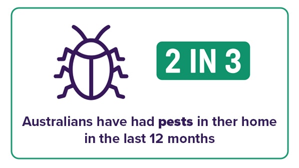 Pests Infographic Banner