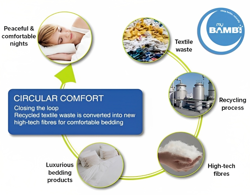 Circular Comfort Graph