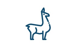 Australian Alpaca