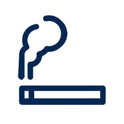 Smoke Icon