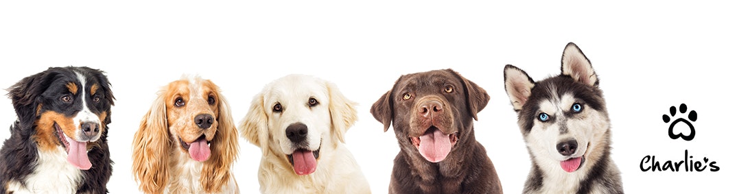 Charlie's Desktop Banner