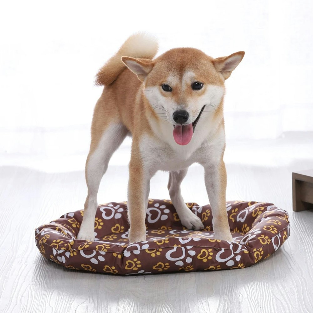 Charlie's Pet Pawtton Print Cooling Round Bed
