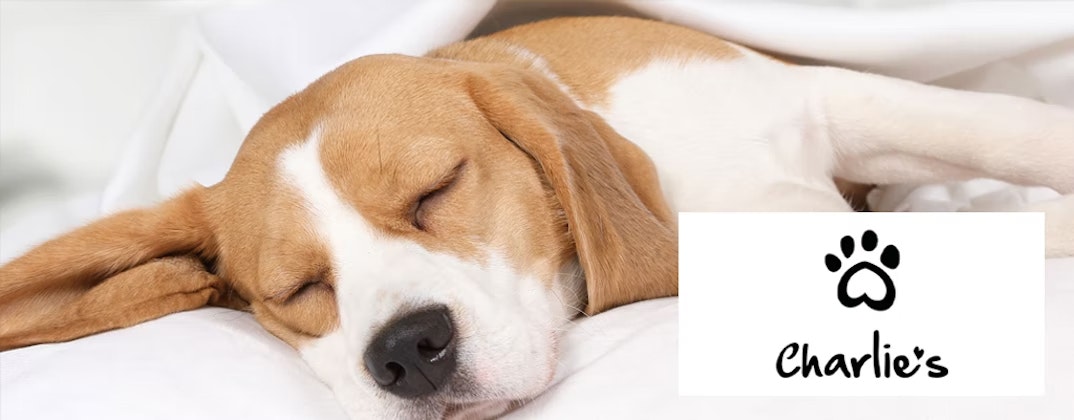 Charlie's Mobile Banner