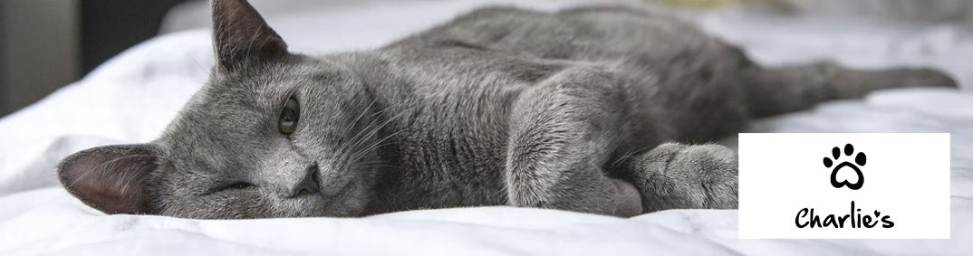 Charlie's Desktop Banner