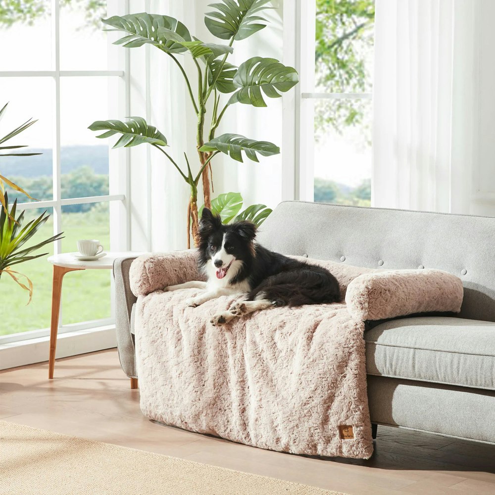 Charlie's Pet Sofa Bed Top View