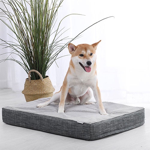 Foam Dog Crate Mattress Dog
