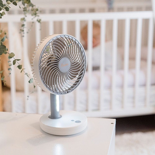 Crane Rechargeable Fan