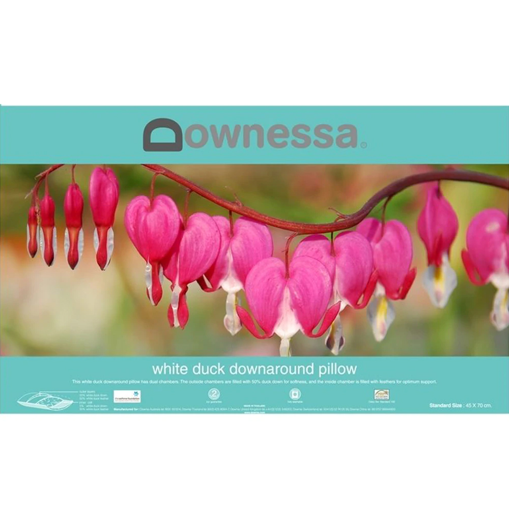 Downessa pillows sale