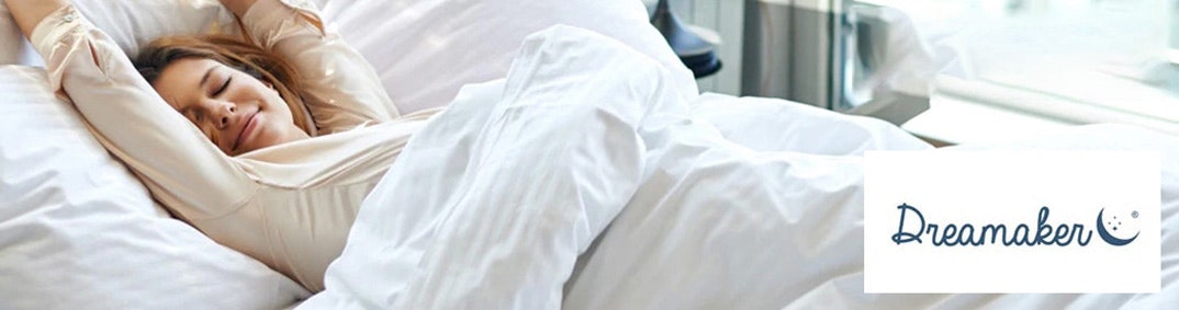 Dreamaker Desktop Banner