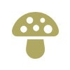 Fungi