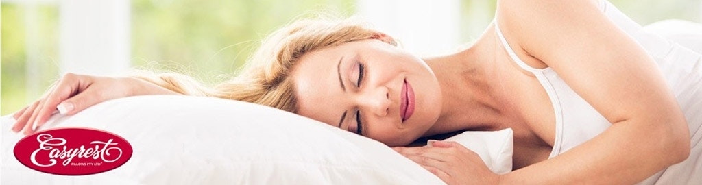 Easyrest Sitting Bed Backrest Pillow Desktop Banner