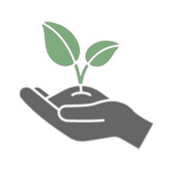 Sustainable Logo