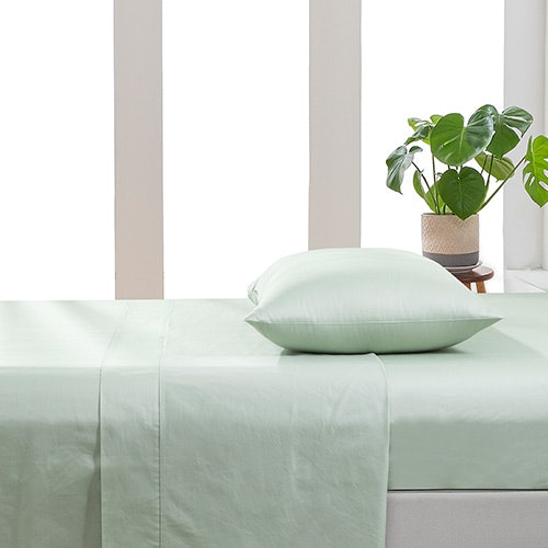 Sage Colour