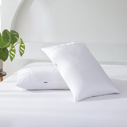 White Colour 1