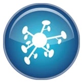 Mould Spores