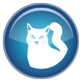 Pet Dander