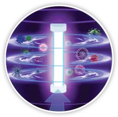 UV Light