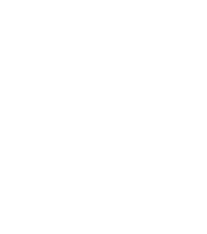 Blueprint Image