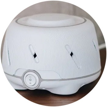 Dohm