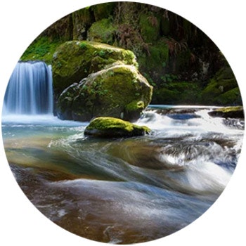 Stream