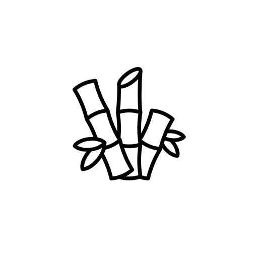 Bamboo
