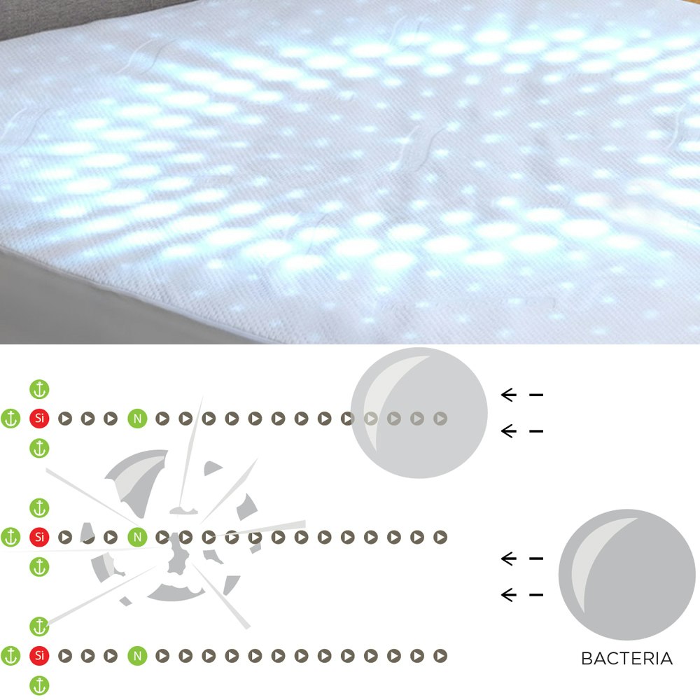 Fresche Diagram Image