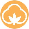 Cotton Cover Icon