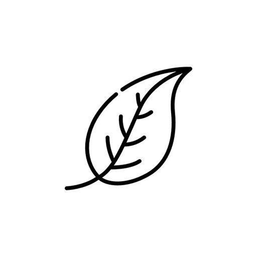 Ecofriendly Natural Fiber