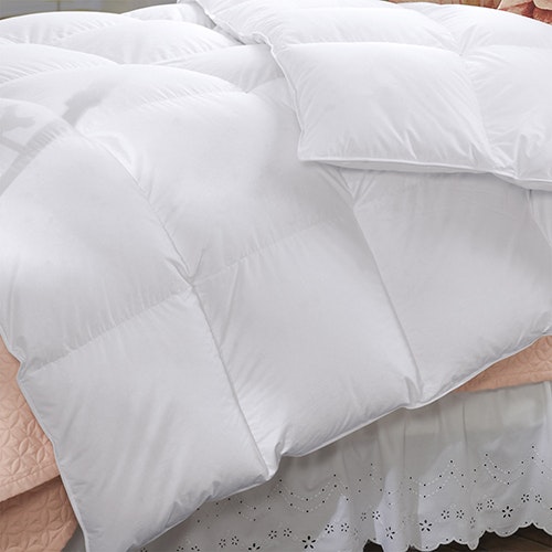 Renee Taylor 600 GSM Deluxe Quilt with Cotton Cover premium Microfiber filling