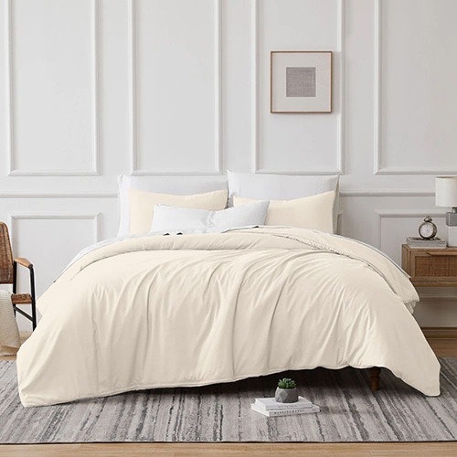 Ivory Colour