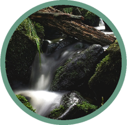 Mountain Stream