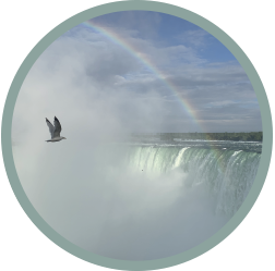 Niagara Falls