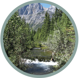 Rocky Mountain Stream