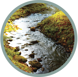 Stream with White Noise