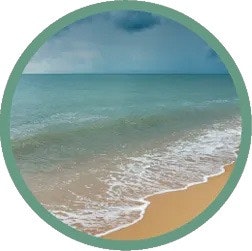 Ocean Rain