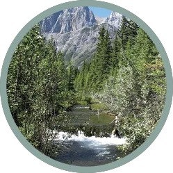 Rocky Mountain Stream 8 Hr