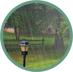 Steady Rain