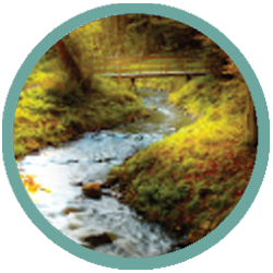 Stream