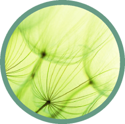 Bio-Sync