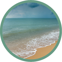 Ocean Rain