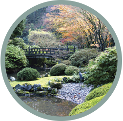 Asian Garden