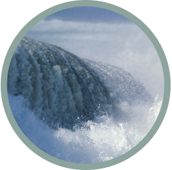 White Surf