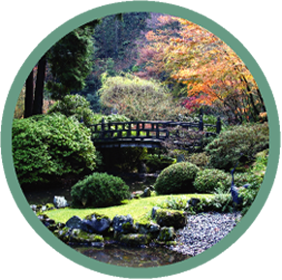 Asian Garden