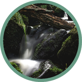 Mountain Stream