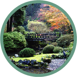 Asian Garden
