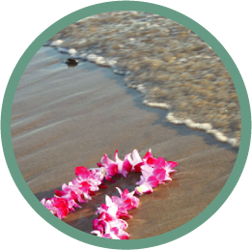Hawaiian Surf