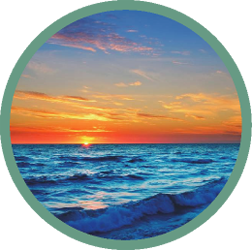 Maui Surf